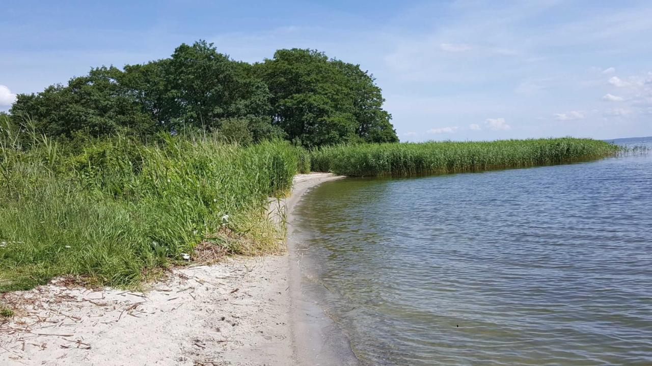 Appartement "Froschkoenig" - Oase Am Haff Garz  外观 照片